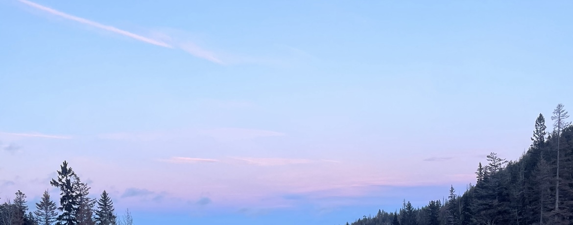 Picture of a pink / blue sky with trees on the lower half
