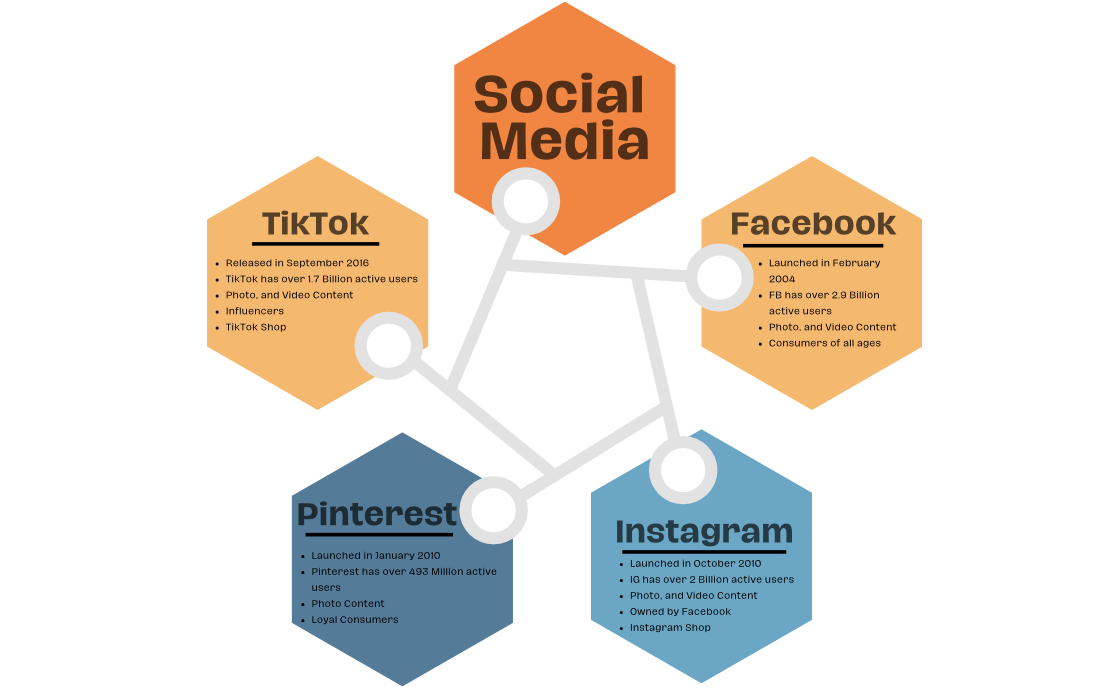 infographic image on social media platforms 